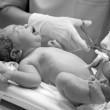 Umbilical Cord
