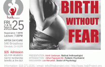 Seminar: Birth Without Fear